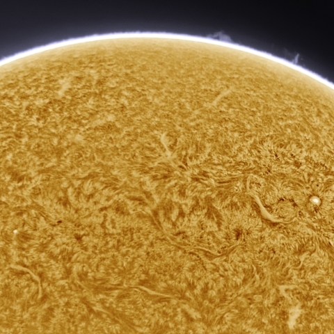 11月06日の太陽 Ha 擬似カラー版