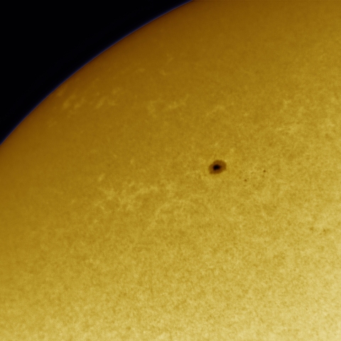 11月06日の太陽 白色光 擬似カラー版