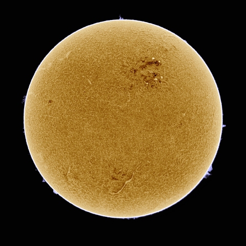 11月13日の太陽 Ha 擬似カラー版