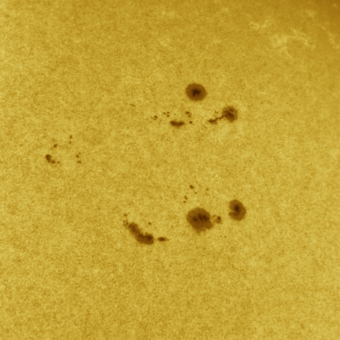 11月13日の太陽 白色光 擬似カラー版