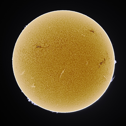 11月27日の太陽 Ha 擬似カラー版