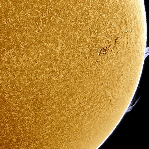 11月27日の太陽 Ha 擬似カラー版