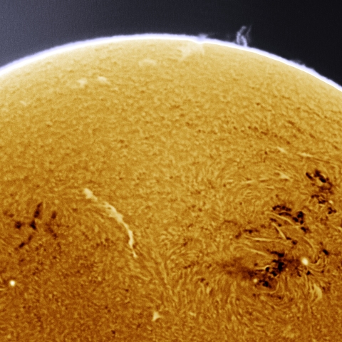 12月11日の太陽 Ha 擬似カラー版