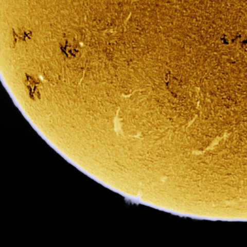 12月11日の太陽 Ha 擬似カラー版