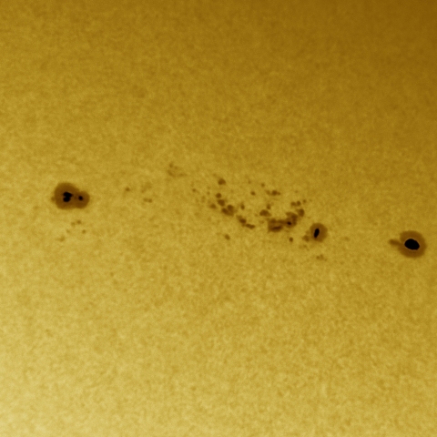 12月25日の太陽 白色光 擬似カラー版