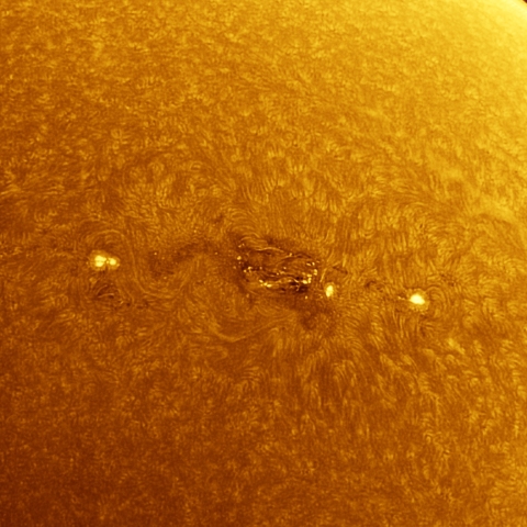 12月25日の太陽 Ha 擬似カラー版