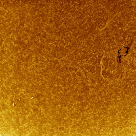 12月25日の太陽 Ha 擬似カラー版