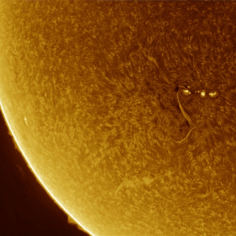 01月02日の太陽 Ha 擬似カラー版
