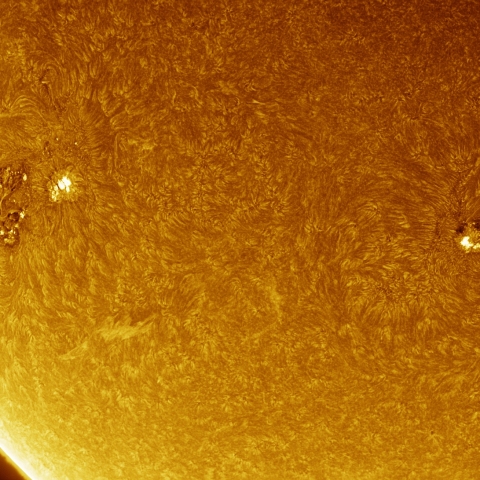 01月08日の太陽 Ha 擬似カラー版