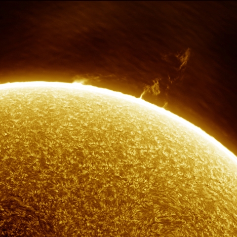 01月08日の太陽 Ha 擬似カラー版