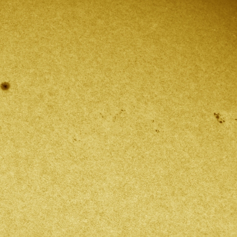 01月29日の太陽 白色光 擬似カラー版