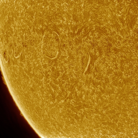 01月29日の太陽 Ha 擬似カラー版