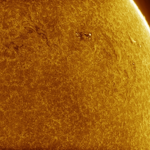 01月29日の太陽 Ha 擬似カラー版