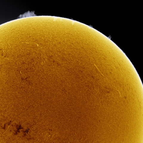 02月05日の太陽 Ha 擬似カラー版