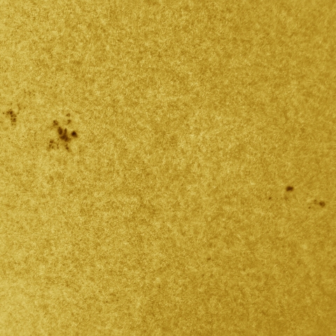 02月05日の太陽 白色光 擬似カラー版