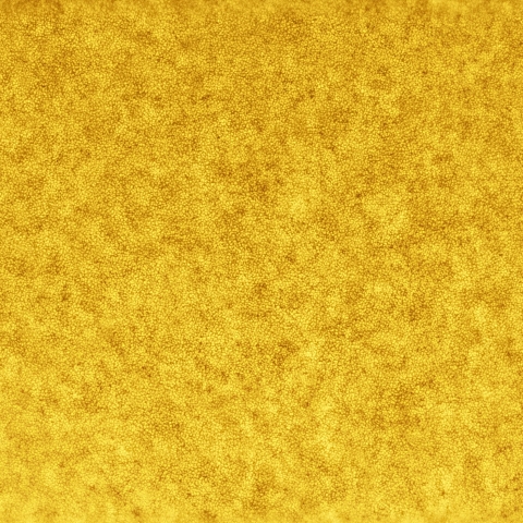 02月12日の太陽 白色光 15cm First light