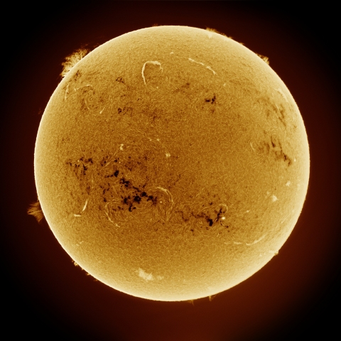 03月12日の太陽 Ha 擬似カラー版