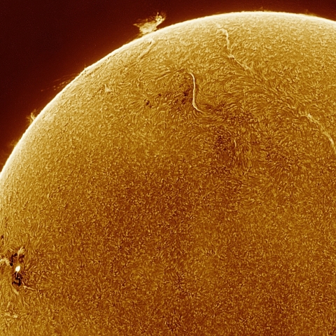 03月19日の太陽 Ha 擬似カラー版