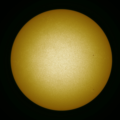 04月02日の太陽 白色光 擬似カラー版