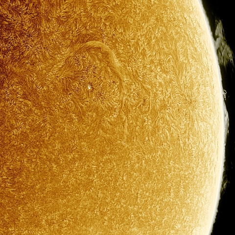 04月02日の太陽 Ha 擬似カラー版