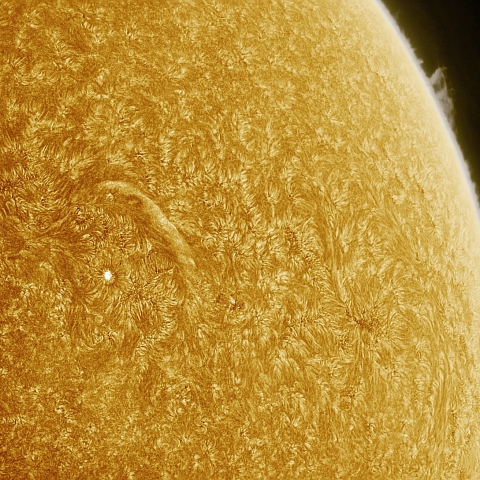 04月01日の太陽 Ha 擬似カラー版