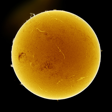 04月09日の太陽 Ha 擬似カラー版