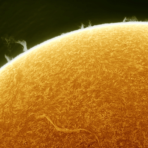 04月09日の太陽 Ha 擬似カラー版