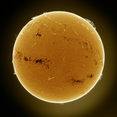 04月16日の太陽 Ha 擬似カラー版