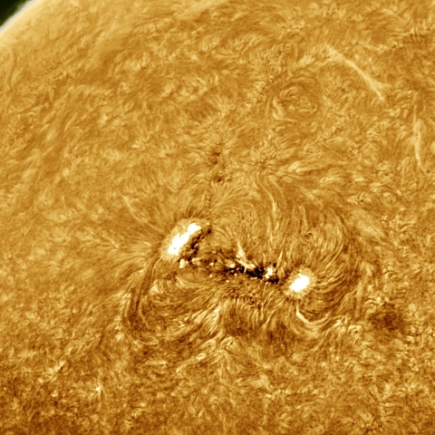 04月16日の太陽 Ha 擬似カラー版