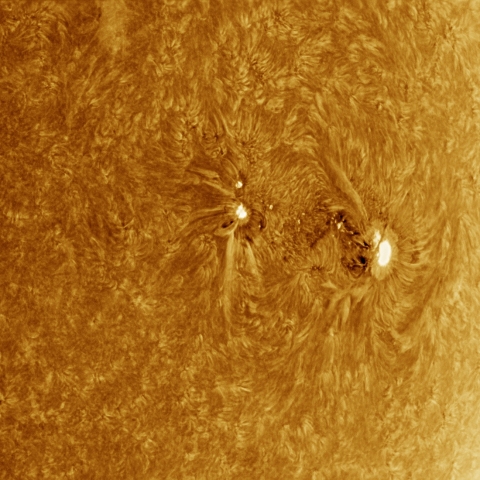 04月22日の太陽 Ha 擬似カラー版
