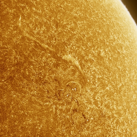 05月04日の太陽 Ha 擬似カラー版