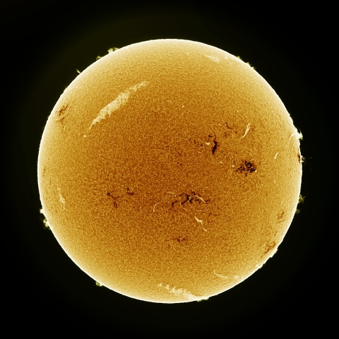 06月04日の太陽 Ha 擬似カラー版