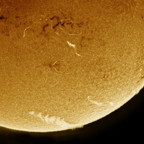 06月04日の太陽 Ha 擬似カラー版