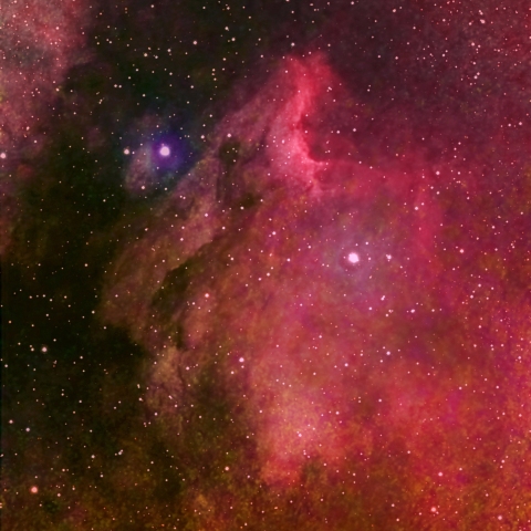 VESPERAで撮るペリカン星雲