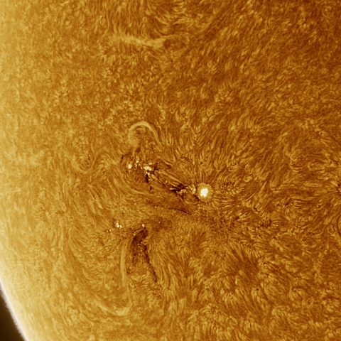 06月17日の太陽 Ha 擬似カラー版