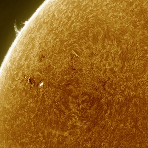 06月17日の太陽 Ha 擬似カラー版