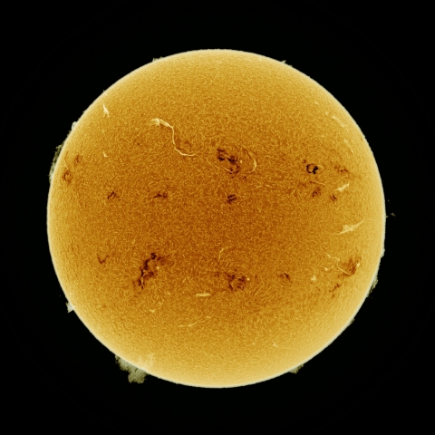 06月24日の太陽 Ha 擬似カラー版