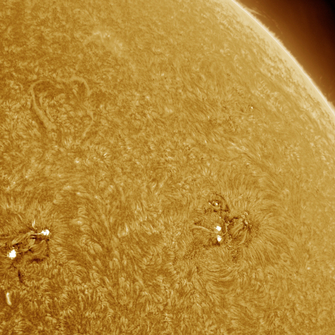 08月13日の太陽 Ha 擬似カラー版