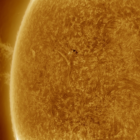 08月13日の太陽 Ha 擬似カラー版