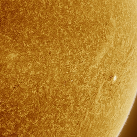 08月13日の太陽 Ha 擬似カラー版