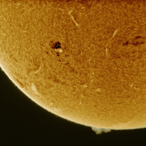 08月26日の太陽 Ha 擬似カラー版