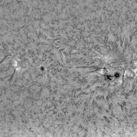 09月24日の太陽 Ha 版