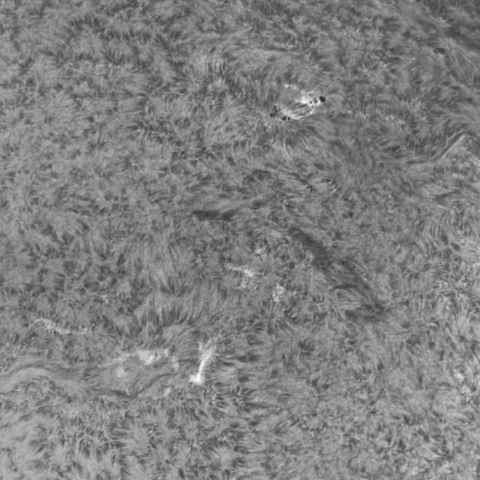 10月21日の太陽 Ha 版