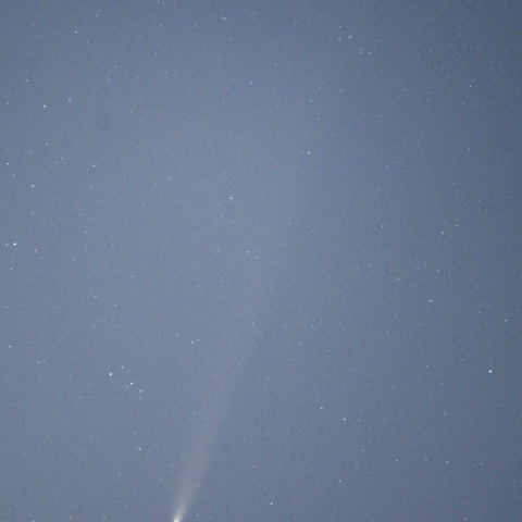 紫金山・アトラス彗星