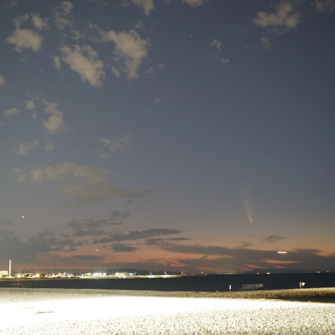 金星と紫金山・ATLAS彗星