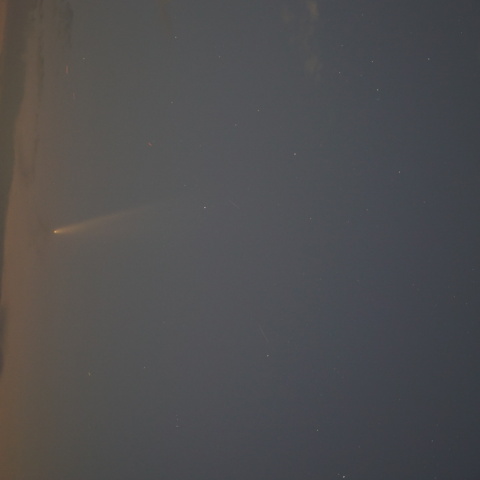 金星と紫金山・ATLAS彗星