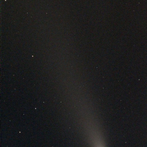 紫金山・ATLAS彗星