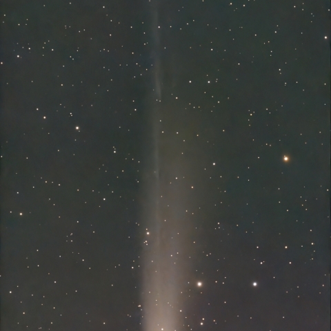 猪名川天文台 c/2025 A6（Lemmon）