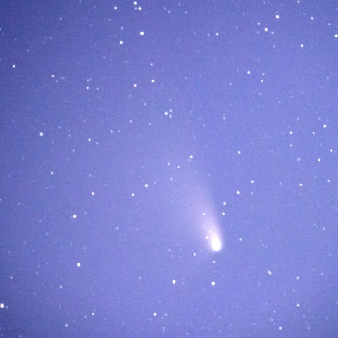 薄明の中のパンスターズ彗星