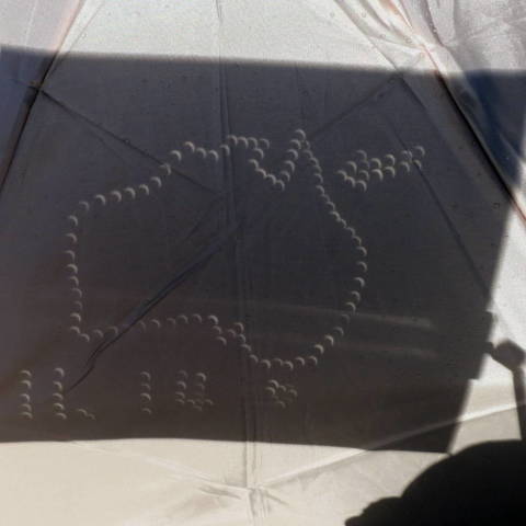 木漏れ日でオーストラリア